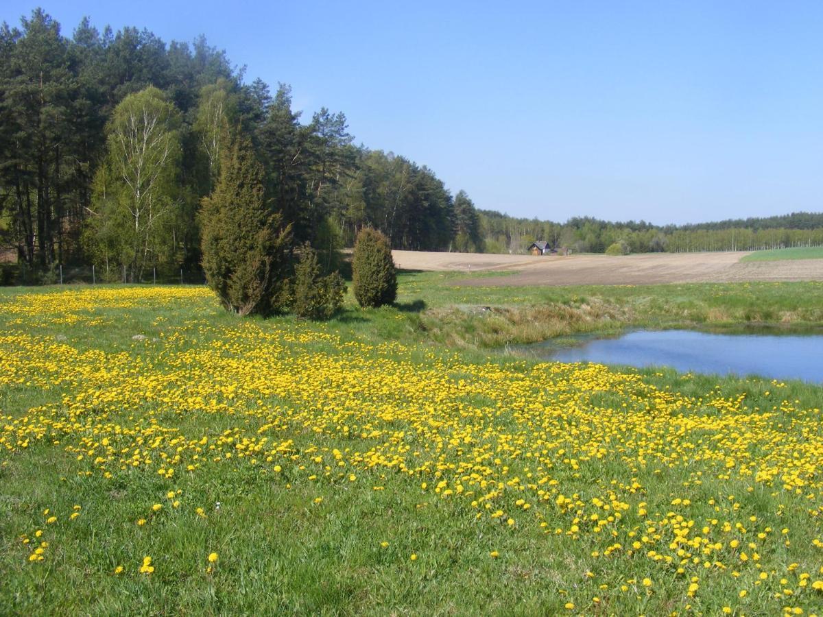 Wczasy Na Kaszubach Villa Gorki  ภายนอก รูปภาพ