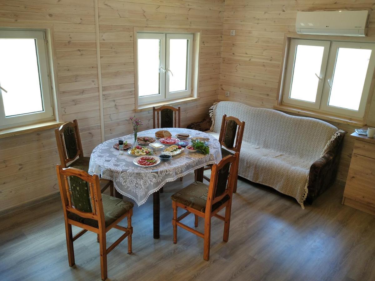 Wczasy Na Kaszubach Villa Gorki  ภายนอก รูปภาพ