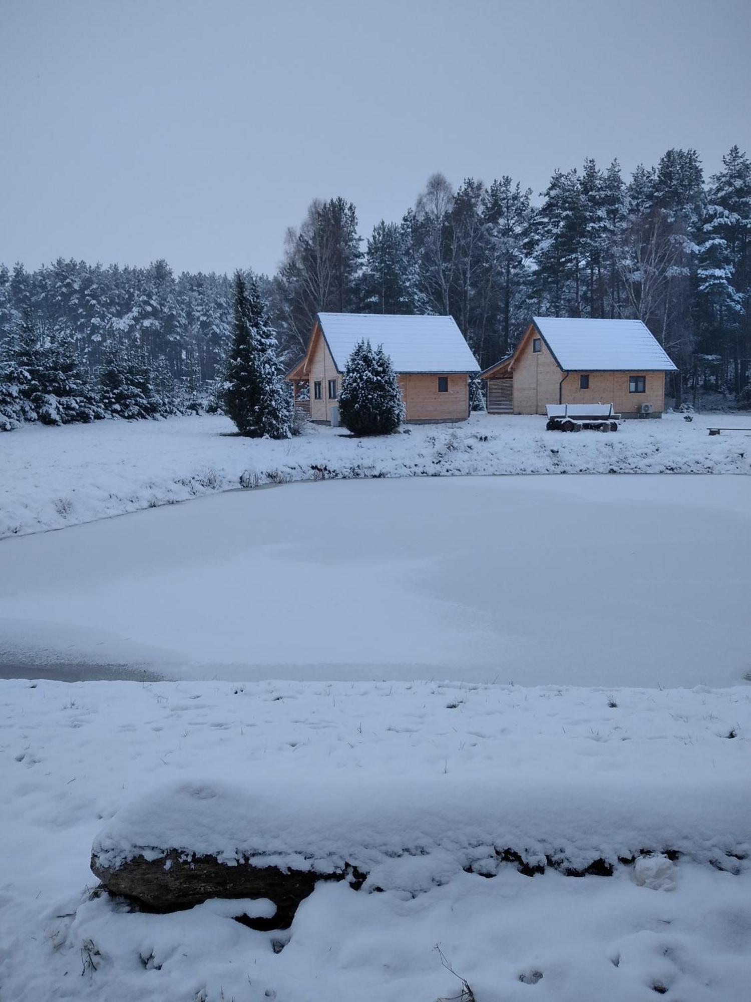 Wczasy Na Kaszubach Villa Gorki  ภายนอก รูปภาพ